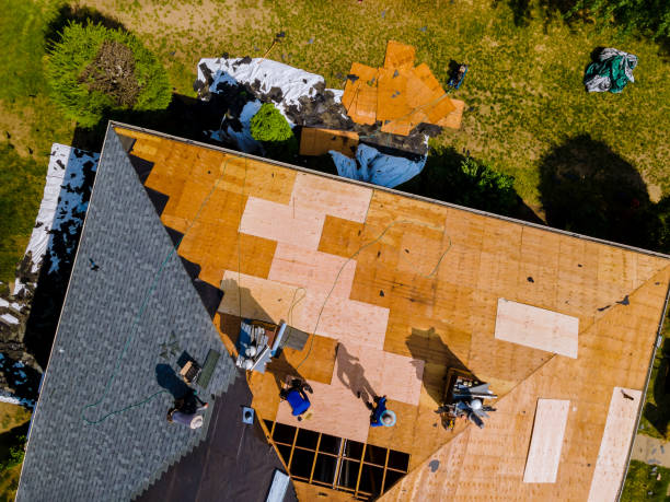 Best Storm Damage Roof Repair  in Benavides, TX